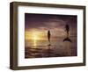 Bottlenose Dolphins, Tursiops Truncatus-Stuart Westmorland-Framed Photographic Print