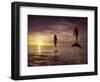 Bottlenose Dolphins, Tursiops Truncatus-Stuart Westmorland-Framed Photographic Print