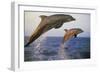 Bottlenosed Dolphin Jumping from Water in Late Evening-null-Framed Photographic Print