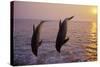 Bottlenosed Dolphin Two Leaping at Sunset-null-Stretched Canvas