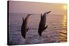 Bottlenosed Dolphin Two Leaping at Sunset-null-Stretched Canvas