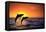 Bottlenosed Dolphins Leaping at Sunset-DLILLC-Framed Stretched Canvas