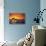 Bottlenosed Dolphins Leaping at Sunset-DLILLC-Stretched Canvas displayed on a wall