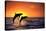 Bottlenosed Dolphins Leaping at Sunset-DLILLC-Stretched Canvas