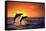 Bottlenosed Dolphins Leaping at Sunset-DLILLC-Framed Stretched Canvas