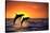 Bottlenosed Dolphins Leaping at Sunset-DLILLC-Stretched Canvas