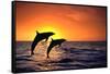 Bottlenosed Dolphins Leaping at Sunset-DLILLC-Framed Stretched Canvas
