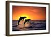 Bottlenosed Dolphins Leaping at Sunset-DLILLC-Framed Photographic Print