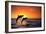 Bottlenosed Dolphins Leaping at Sunset-DLILLC-Framed Photographic Print