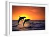 Bottlenosed Dolphins Leaping at Sunset-DLILLC-Framed Photographic Print