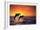 Bottlenosed Dolphins Leaping at Sunset-DLILLC-Framed Photographic Print