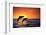 Bottlenosed Dolphins Leaping at Sunset-DLILLC-Framed Photographic Print