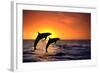 Bottlenosed Dolphins Leaping at Sunset-DLILLC-Framed Photographic Print