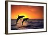 Bottlenosed Dolphins Leaping at Sunset-DLILLC-Framed Photographic Print