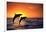 Bottlenosed Dolphins Leaping at Sunset-DLILLC-Framed Photographic Print