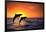 Bottlenosed Dolphins Leaping at Sunset-DLILLC-Framed Photographic Print