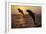 Bottlenosed Dolphins Two Leaping at Sunset-null-Framed Photographic Print