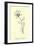 Bottlephorkia Spoonifolia-Edward Lear-Framed Giclee Print