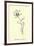 Bottlephorkia Spoonifolia-Edward Lear-Framed Giclee Print