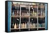 Bottles In New Orleans Louisiana Storefront-null-Framed Stretched Canvas