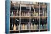 Bottles In New Orleans Louisiana Storefront-null-Stretched Canvas