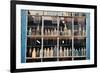 Bottles In New Orleans Louisiana Storefront-null-Framed Photo