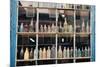 Bottles In New Orleans Louisiana Storefront-null-Mounted Photo