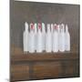 Bottles in Paper, 2005-Lincoln Seligman-Mounted Giclee Print