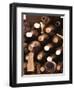 Bottles in Tasting Room, Bodega Pisano Winery, Progreso, Uruguay-Per Karlsson-Framed Premium Photographic Print