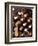 Bottles in Tasting Room, Bodega Pisano Winery, Progreso, Uruguay-Per Karlsson-Framed Photographic Print