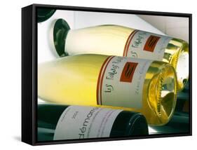 Bottles of Les Foulards Rouges, Lavinia Wine Shop, Paris, France-Per Karlsson-Framed Stretched Canvas