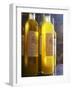 Bottles of Olive Oil, Chateau Vannieres, La Cadiere d'Azur, Bandol, Var, Cote d'Azur, France-Per Karlsson-Framed Photographic Print