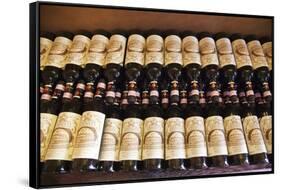 Bottles of Tuscan Wine Ready for Sale-Terry Eggers-Framed Stretched Canvas