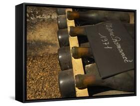 Bottles of Vosne Romanee, Burgundy Wine, Maison Louis Jadot, Beaune, Cote d'Or, Bourgogne, France-Per Karlsson-Framed Stretched Canvas