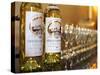 Bottles of White Wine Choteau, Leognan, Gironde, France-Per Karlsson-Stretched Canvas