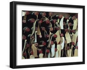 Bottles of Wine with Labels, Brunello, Montalcino, Tuscany, Italy, Europe-Morandi Bruno-Framed Photographic Print