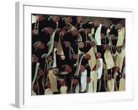 Bottles of Wine with Labels, Brunello, Montalcino, Tuscany, Italy, Europe-Morandi Bruno-Framed Photographic Print