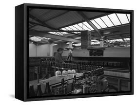 Bottling Beer at Ward and Sons Bottling Plant, Swinton, South Yorkshire, 1961-Michael Walters-Framed Stretched Canvas