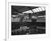 Bottling Beer at Ward and Sons Bottling Plant, Swinton, South Yorkshire, 1961-Michael Walters-Framed Photographic Print