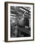 Bottling Beer at Ward and Sons Bottling Plant, Swinton, South Yorkshire, 1961-Michael Walters-Framed Photographic Print