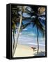 Bottom Bay, Barbados, Caribbean-Doug Pearson-Framed Stretched Canvas