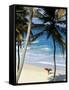 Bottom Bay, Barbados, Caribbean-Doug Pearson-Framed Stretched Canvas