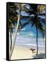 Bottom Bay, Barbados, Caribbean-Doug Pearson-Framed Stretched Canvas