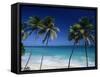 Bottom Bay, Barbados, Caribbean-Steve Vidler-Framed Stretched Canvas