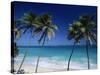 Bottom Bay, Barbados, Caribbean-Steve Vidler-Stretched Canvas