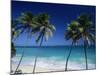 Bottom Bay, Barbados, Caribbean-Steve Vidler-Mounted Photographic Print