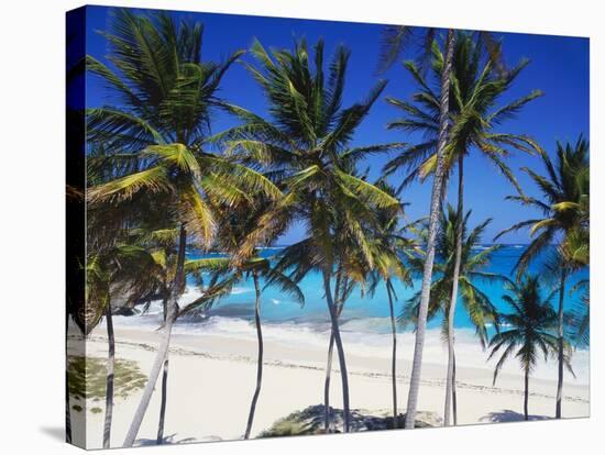 Bottom Bay, Barbados, Caribbean-John Miller-Stretched Canvas