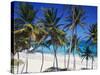 Bottom Bay, Barbados, Caribbean-John Miller-Stretched Canvas