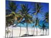 Bottom Bay, Barbados, Caribbean-John Miller-Mounted Photographic Print