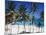 Bottom Bay, Barbados, Caribbean-John Miller-Mounted Photographic Print